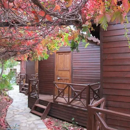 Changa Kemer